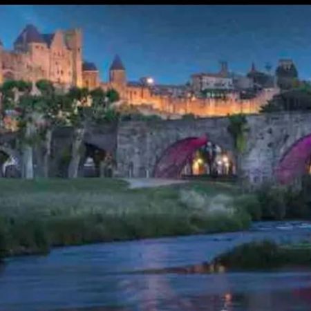 Appartement T2 Avec Vue Chateau Carcassonne Dış mekan fotoğraf
