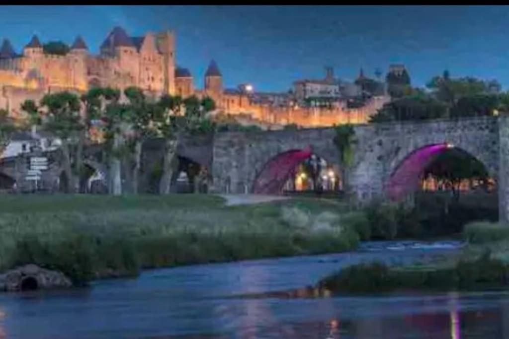 Appartement T2 Avec Vue Chateau Carcassonne Dış mekan fotoğraf