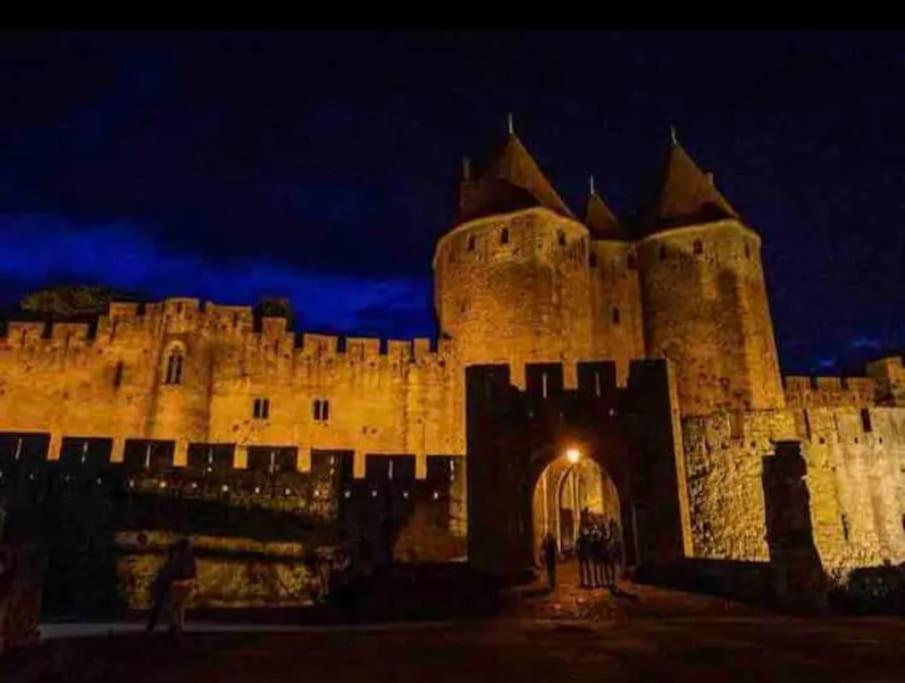 Appartement T2 Avec Vue Chateau Carcassonne Dış mekan fotoğraf