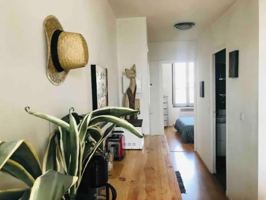 Appartement T2 Avec Vue Chateau Carcassonne Dış mekan fotoğraf