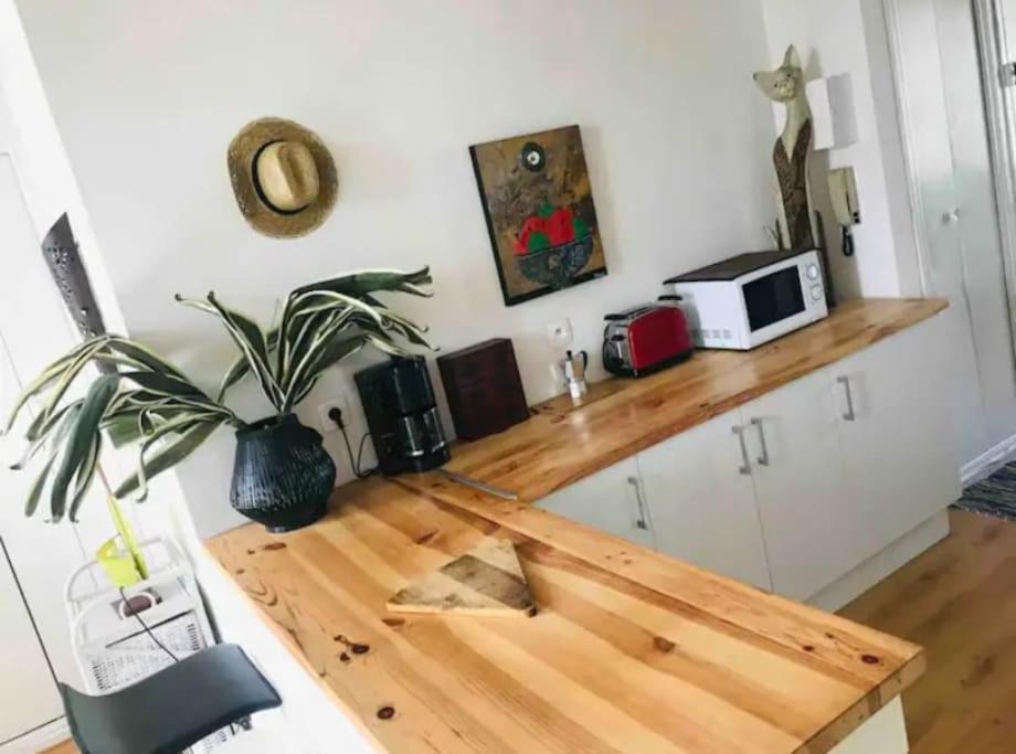 Appartement T2 Avec Vue Chateau Carcassonne Dış mekan fotoğraf