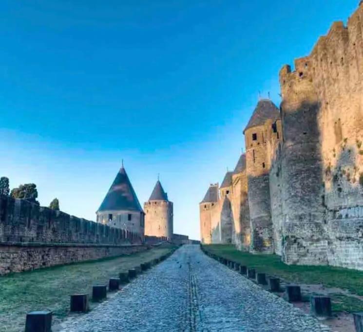 Appartement T2 Avec Vue Chateau Carcassonne Dış mekan fotoğraf