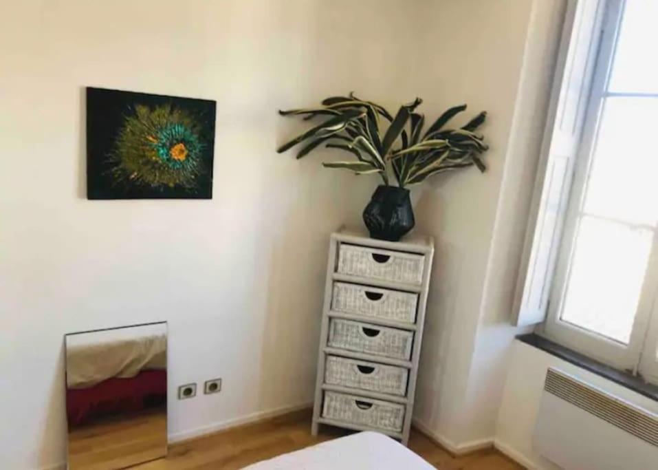 Appartement T2 Avec Vue Chateau Carcassonne Dış mekan fotoğraf
