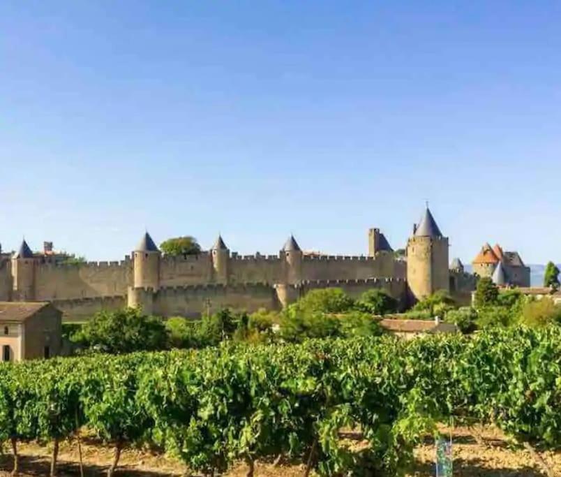 Appartement T2 Avec Vue Chateau Carcassonne Dış mekan fotoğraf